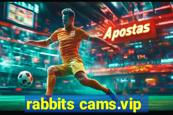 rabbits cams.vip